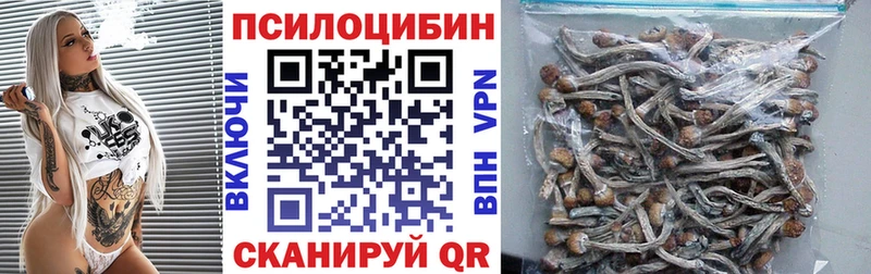 Галлюциногенные грибы Psilocybine cubensis  купить закладку  Заводоуковск 